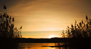 Последние окошки открытой воды, скоро лед встанет