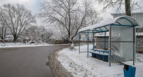 Поход во Владимирский лес