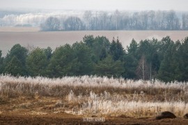 Прогулка по окрестностям Владимира в осеннюю пору