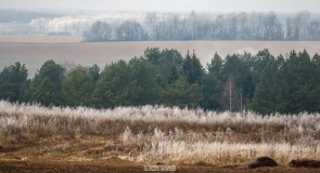 Прогулка по окрестностям Владимира в осеннюю пору
