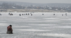 Рыбалка в Кольчугино