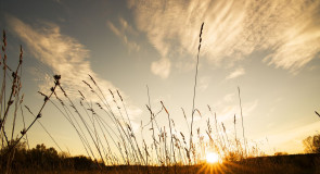 Закат в с. Заколпье 16.10.2015г.