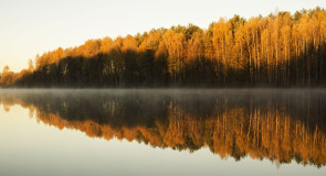 Солнечная погода во Владимирской области