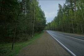 У дороги Владимир — Лакинск (май, Судогодский район)