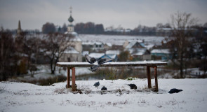 Суздальская жизнь от Владимира Чучадеева