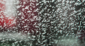 Утренние морозные художества