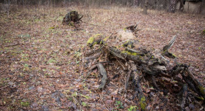 09.12.2015 — Вербовский, Природа