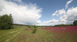 7 июня — Иванов день. д. Медынцево, Ковровский район
