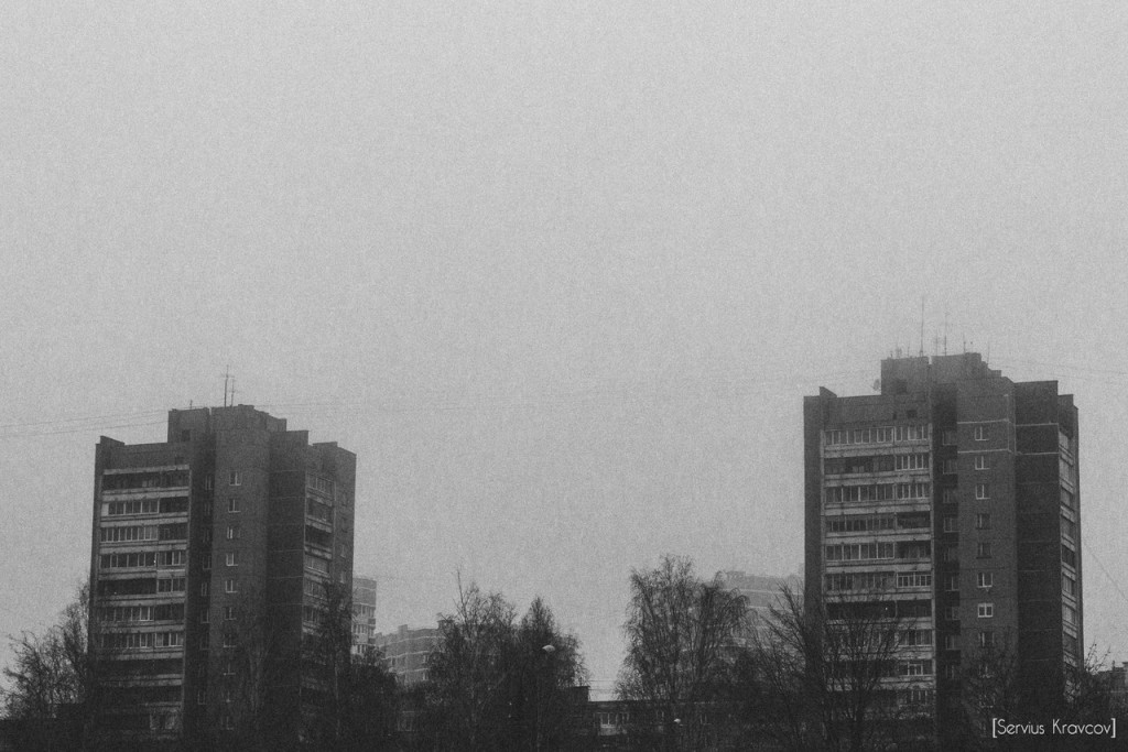 Vladimir; Good fog morning 08