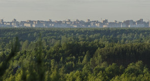 Весь Владимир как на ладони