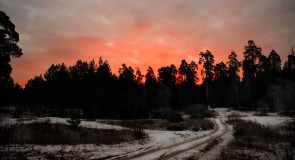 Владимирская область. Дорога на рассвет