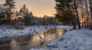 МИР В ОБЪЕКТИВЕ: Конец ноября. Река Шередарь.