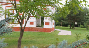 Гусь Хрустальный, часовня