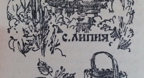 Деревня Липна Петушинского района