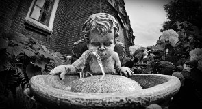 Дикий ангел во Владимирской области