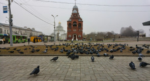 Доброе утро, Владимир!