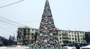 Елочка на улице Мира, Владимир