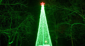 Импровизированная елка. г. Гусь-Хрустальный