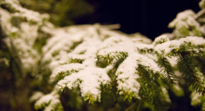 Кажется снег начинается!