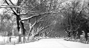 Ковровские парки на старых фотографиях.