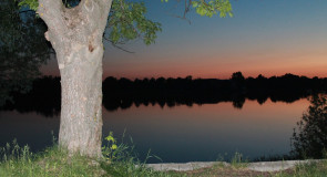 Летний вечер в Гусь-Хрустальном