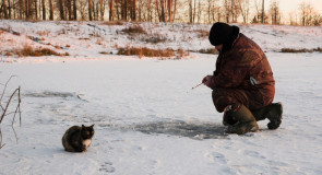 Ловись рыбка большая