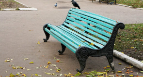 Муромские лавочки, голуби и водоразобрные колонки