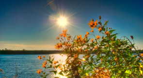 Муромские пейзажи. Река Ока и Илевна