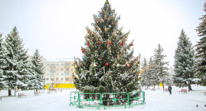 На Вербовском живую ёлочку установили