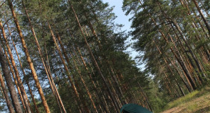 На природе близ Гусь-Хрустального