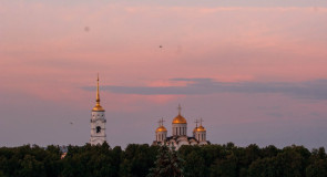 Один из самых популярных видов Владимира