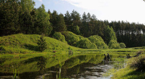 Окрестности села Великово и деревни Медынцево