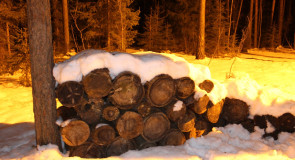 Освещенная лыжная трасса в Гусе-Хрустальном