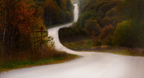 Осень 2014, Чамерево