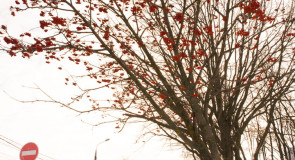 Остановка Рябинка. г. Владимир