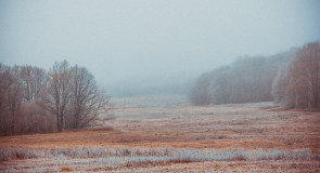 Пейзажи Владимира. Осенний иней. ч. 3