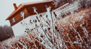 Пейзажи Владимира. Осенний иней. Ч.2