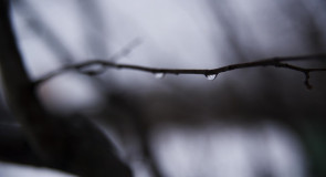 Первые дни декабря во Владимирской области