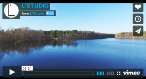 Покров и Свято-Введенский Островной монастырь с высоты