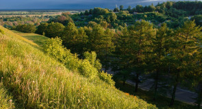 Прогулка по летнему парку с Борисом Пучковым