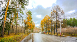 Прогулка по осеннему Вербовскому с телефоном