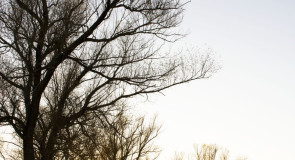 Пусть завтра будет ясный день!