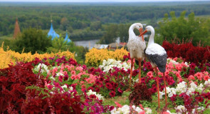 Романтичный Гороховец