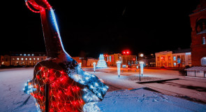 Свето-контрабас во Владимире