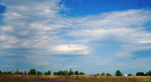 Сельские пейзажи из Суромны