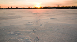 Я уйду в закат