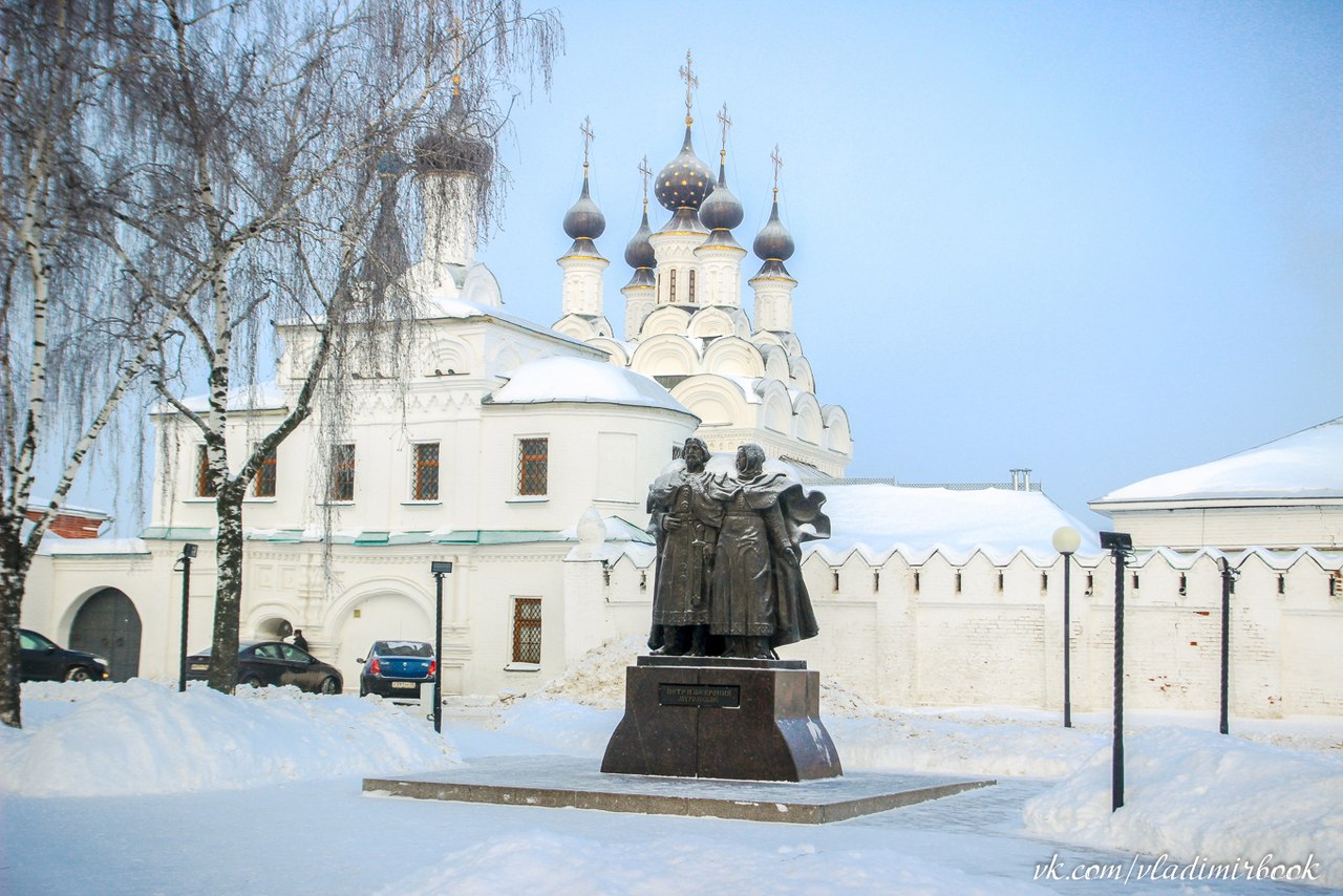 Муром Троицкий монастырь зимой