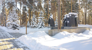 В Муроме очень много снега! А у вас?