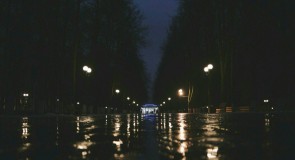 В дождливом парке городском… Владимир