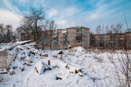 Владимир и окрестности. Январь 2016 г.